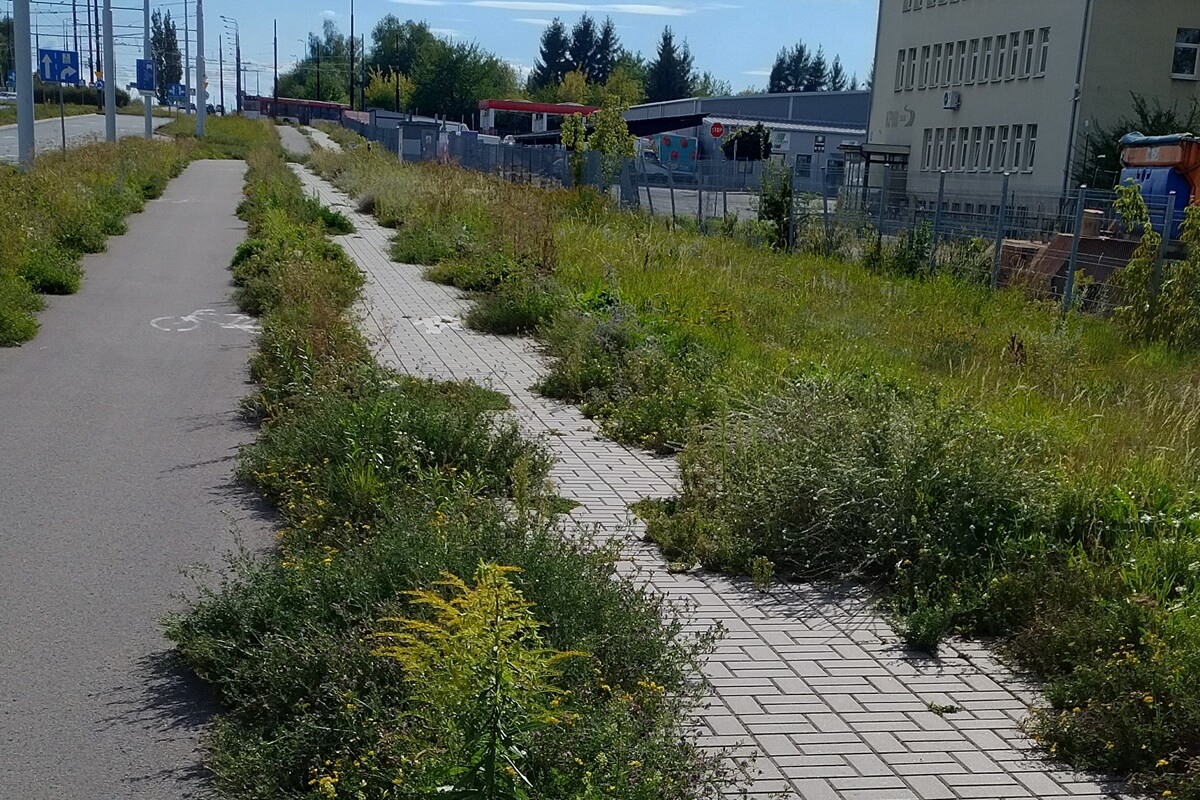 Zarośnięte chodniki i ścieżki rowerowe w Lublinie