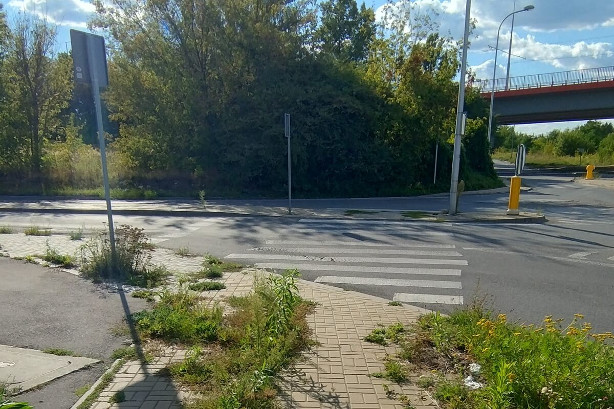 Zarośnięte chodniki i ścieżki rowerowe w Lublinie
