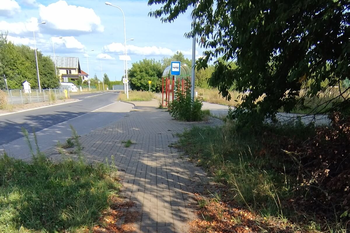 Zarośnięte chodniki i ścieżki rowerowe w Lublinie