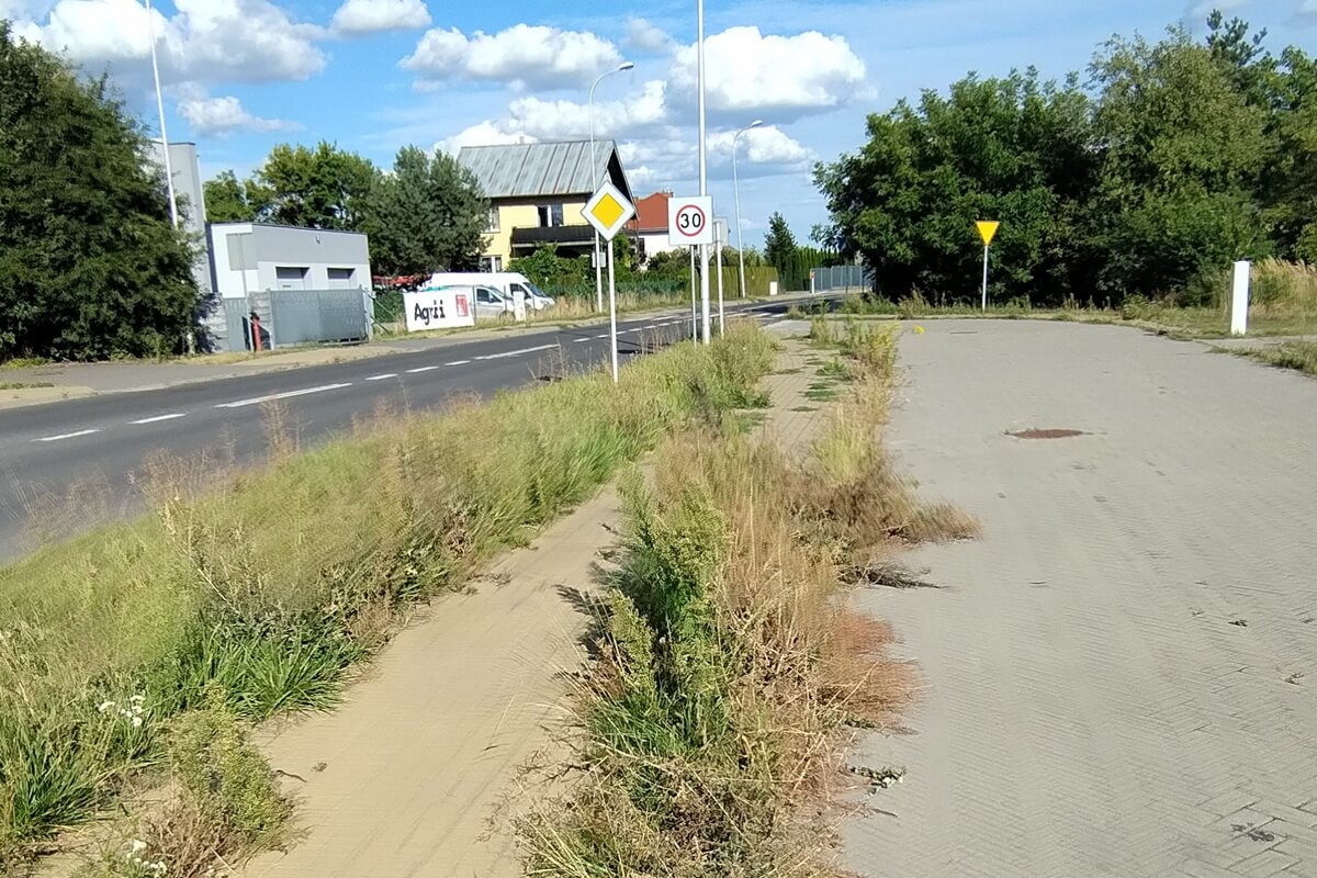 Zarośnięte chodniki i ścieżki rowerowe w Lublinie