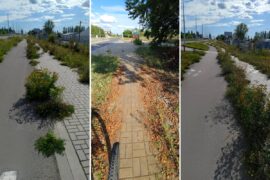 zarosniete chodniki i sciezki rowerowe w lublinie bcf03222530f