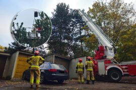 akcja strazakow przy odlewniczej kot na drzewie 66ea2fc95013