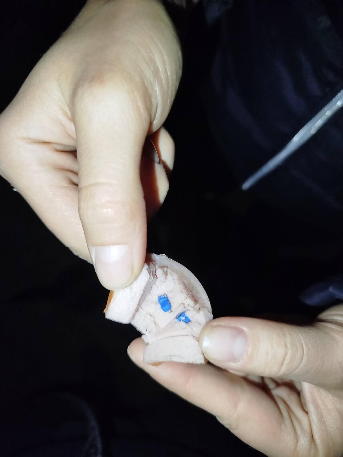 Śmiertelne pułapki na psim spacerze. Kiełbasa naszpikowana szpilkami i trutką | ZDJĘCIA 3 Kiełbasa z trutką i szpilkami znaleziona na trawniku