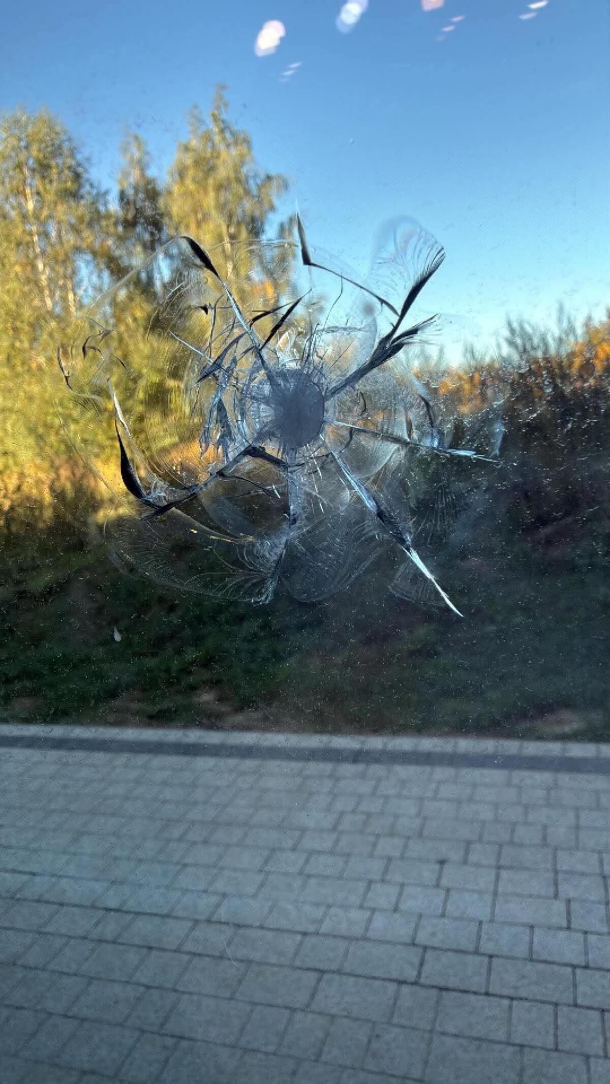 Ktoś strzelał w drzwi lokalu usługowego! Niebezpieczny incydent na Sławinie, policja zabezpieczyła ślady | ZDJĘCIA 3 Ślad po strzale w szklane drzwi