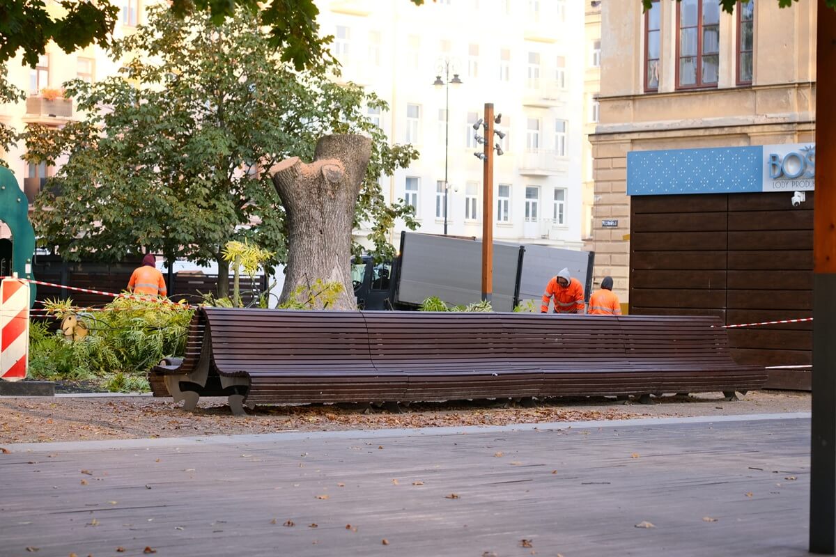 Mieszkańcy oburzeni wycinką potężnego drzewa na Placu Litewskim. Specjaliści: „Wystarczyłaby wichura, by runął na plac zabaw lub lodziarnię” 3 Wycięty jesion na Placu Litewskim